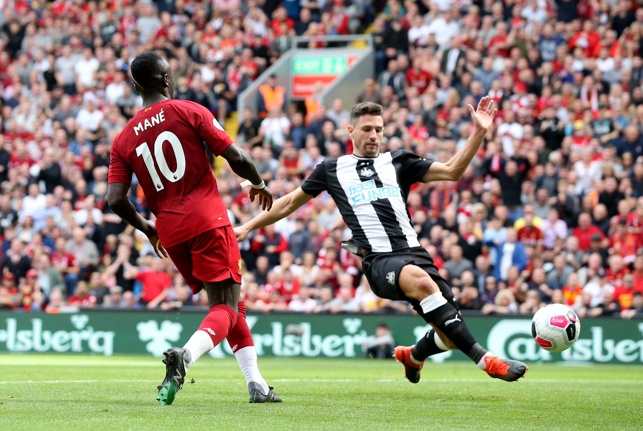 随队来到青 随队来到青