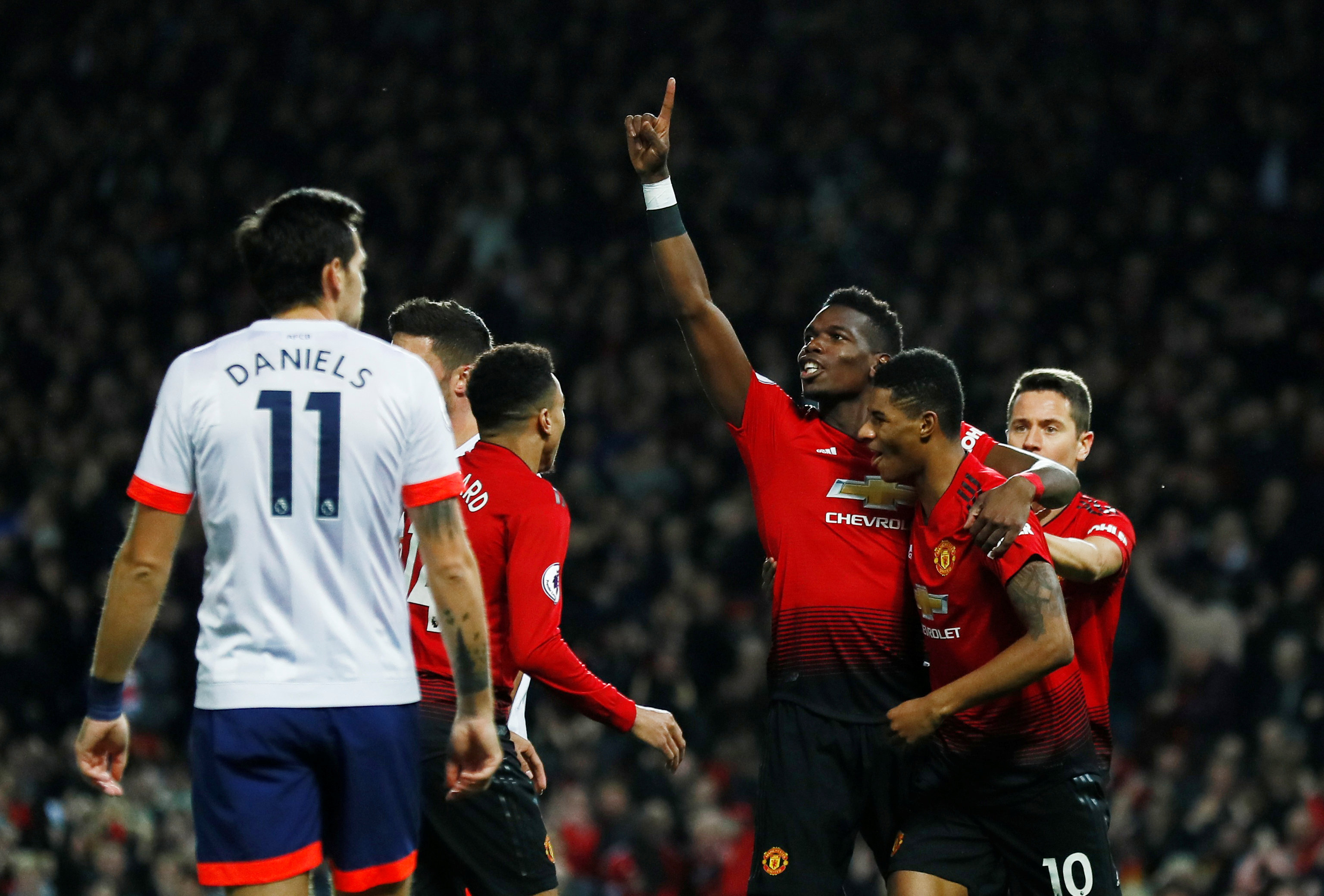 传统的生物 传统的生物